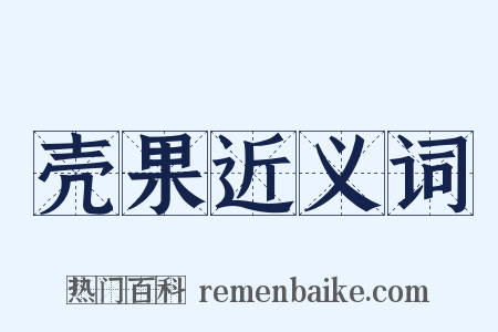 壳果近义词是什么意思的图片